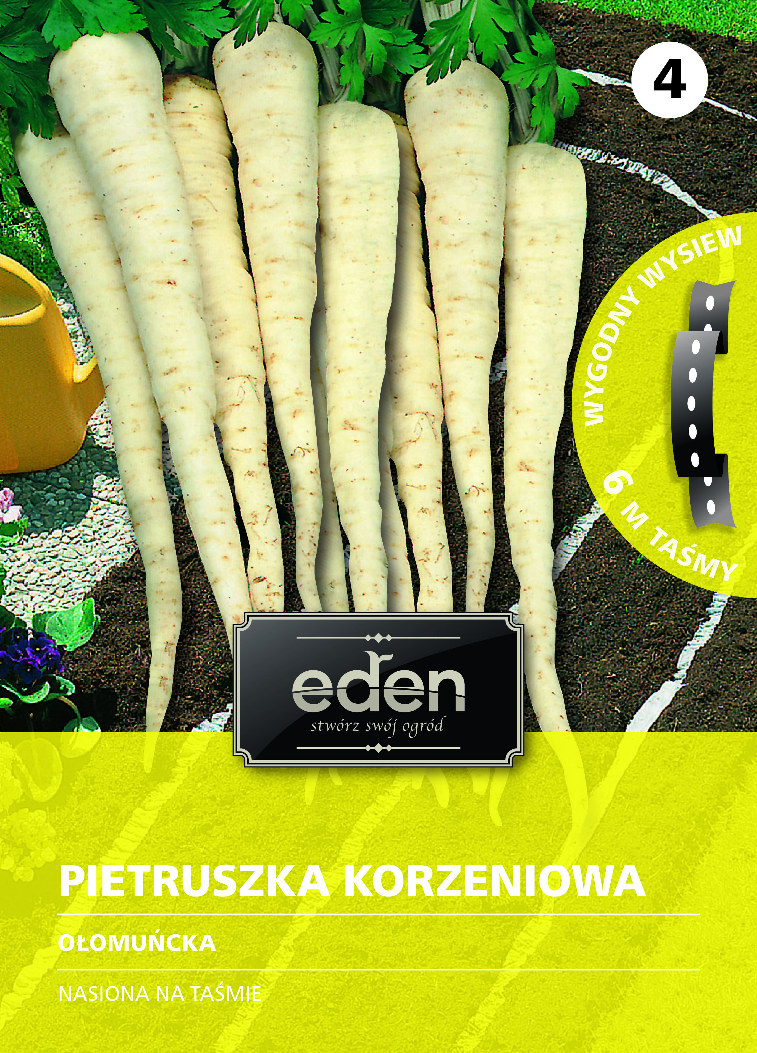 Pietruszka korzeniowa na taśmie Ołomuńcka 6 m Eden