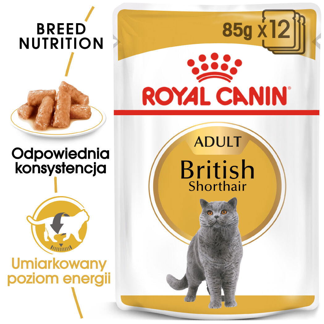 Karma mokra w sosie dla kotów dorosłych brytyjski krótkowłosy 85 g British Shorthair ROYAL CANIN