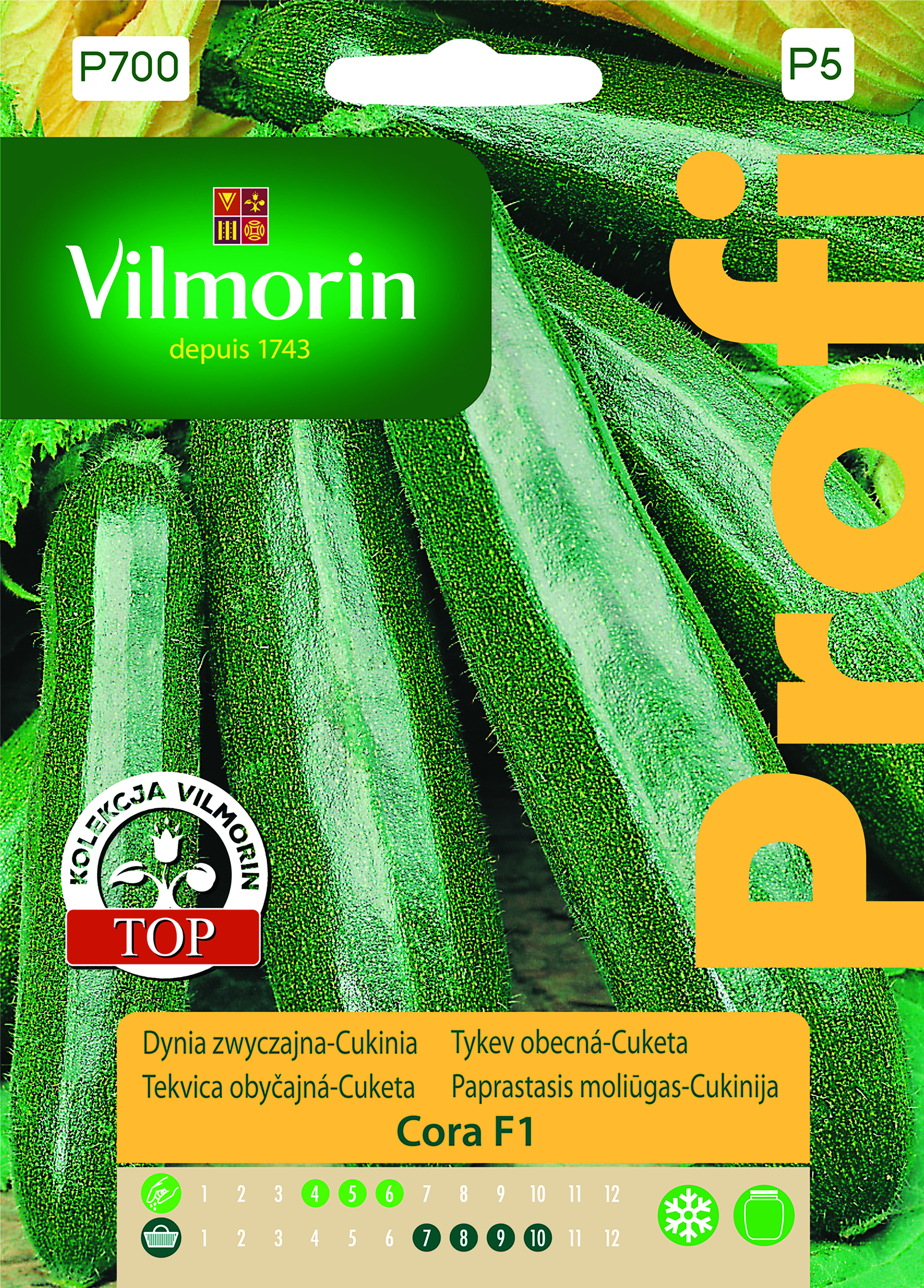 Dynia zwyczajna cukinia Cora F1 2 g Vilmorin Garden