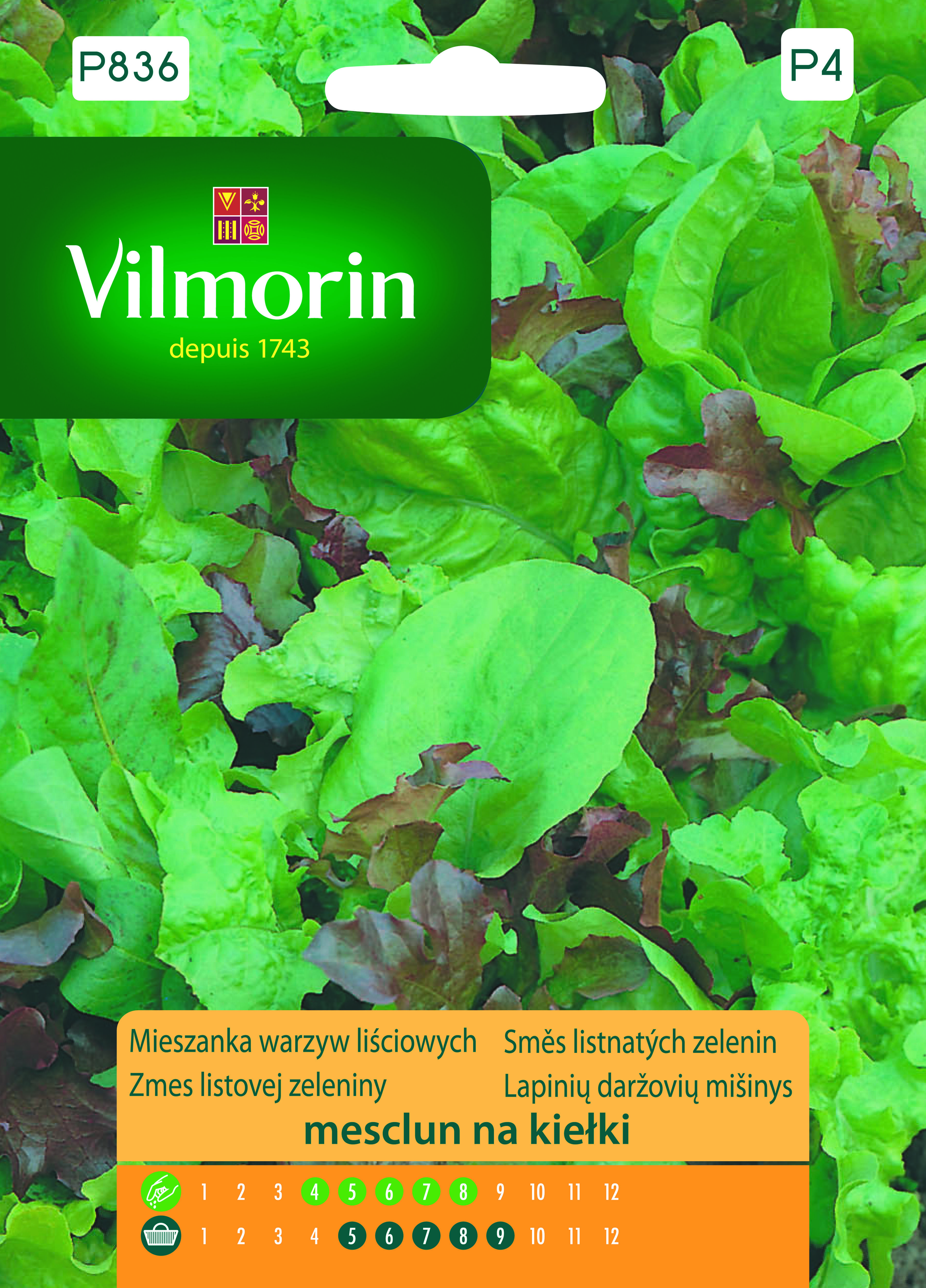Mieszanka na kiełki Mesclun z rukolą 1 g Vilmorin Garden