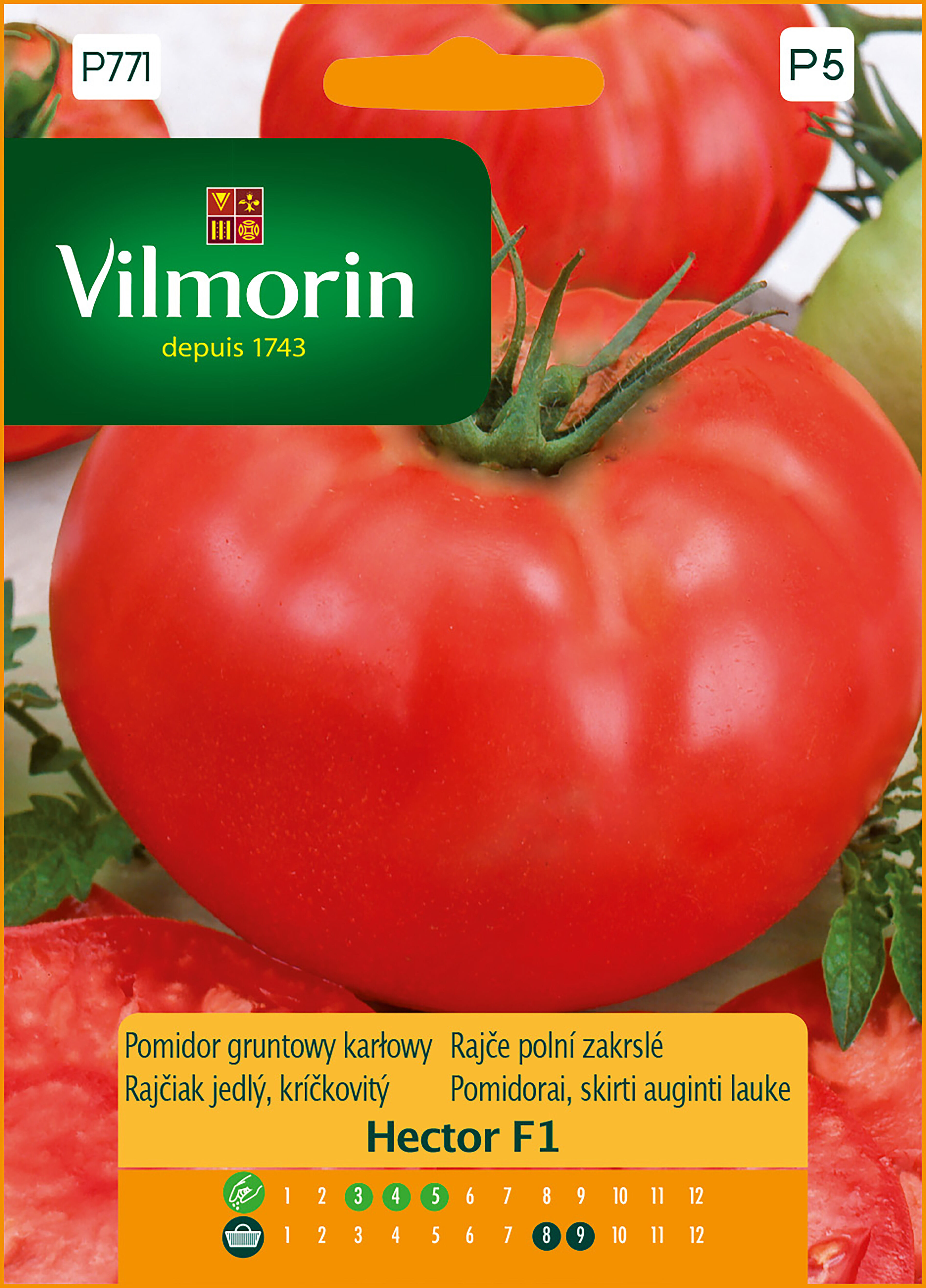 Pomidor gruntowy i pod osłony karłowy Hector F1 0,1 g Vilmorin Garden