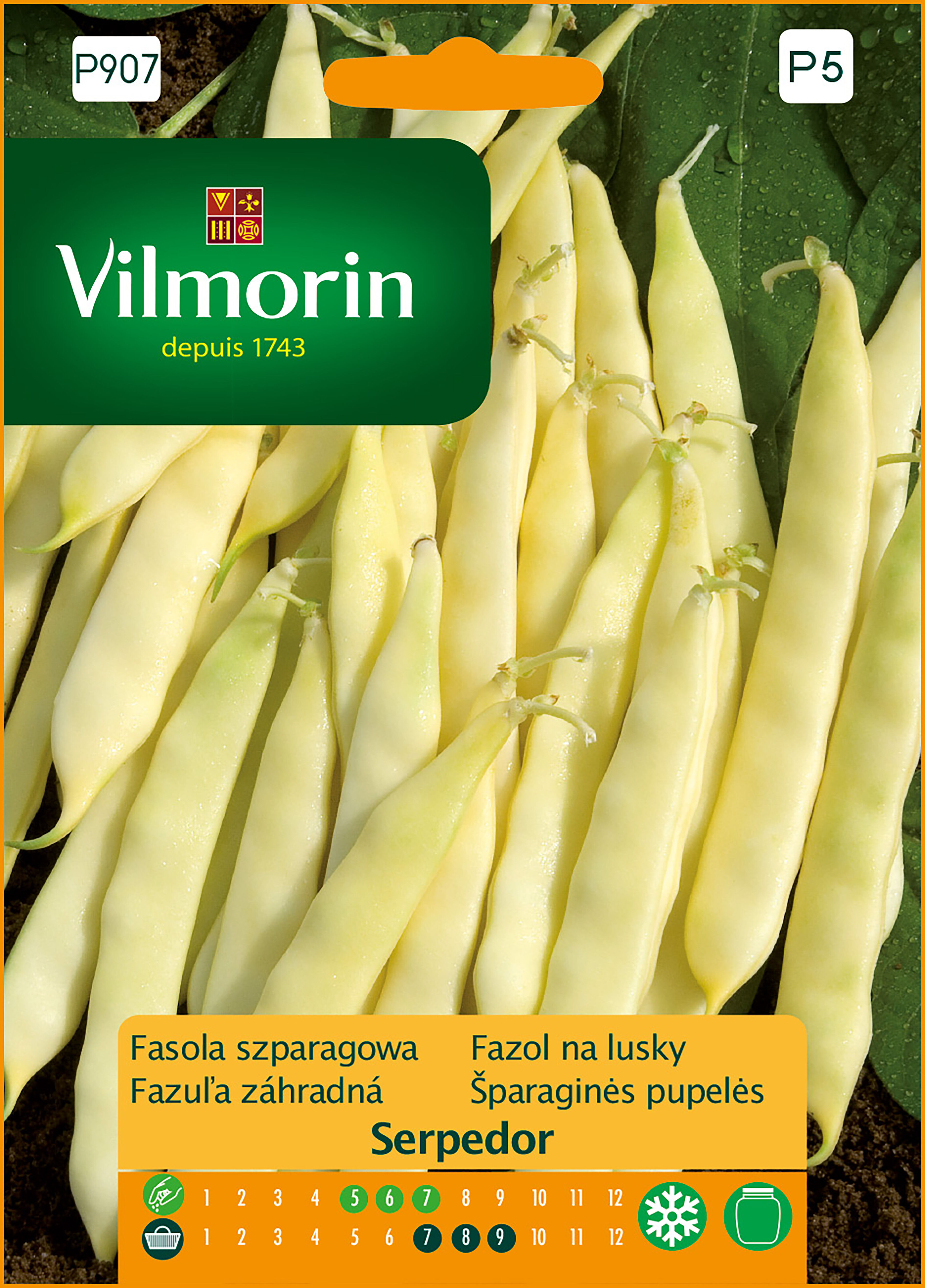 Fasola szparagowa żółta karłowa Serpedor 30 g Vilmorin Garden