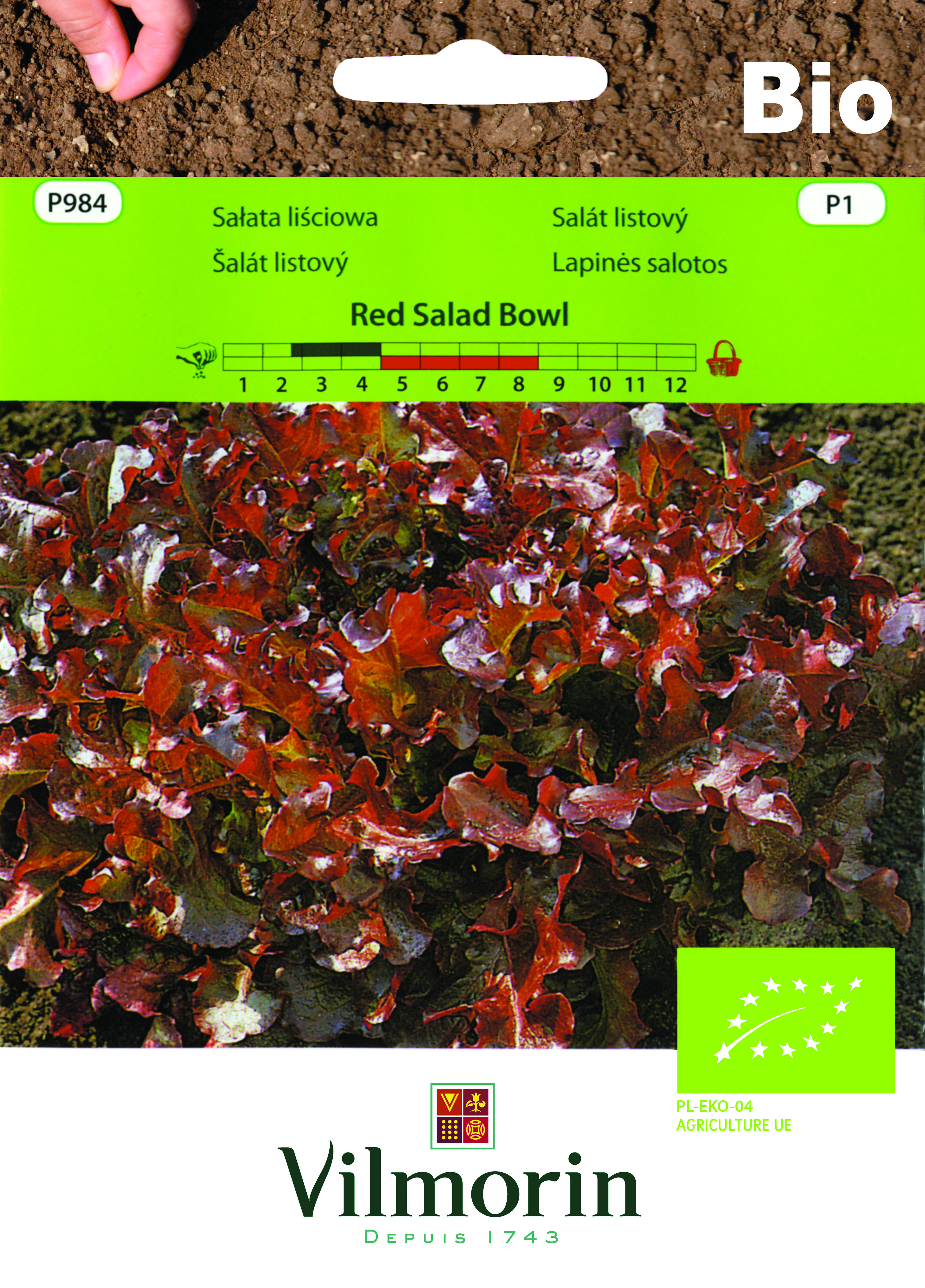 Sałata liściowa BIO Red Salad Bowl czerwona 0,5 g Vilmorin Garden