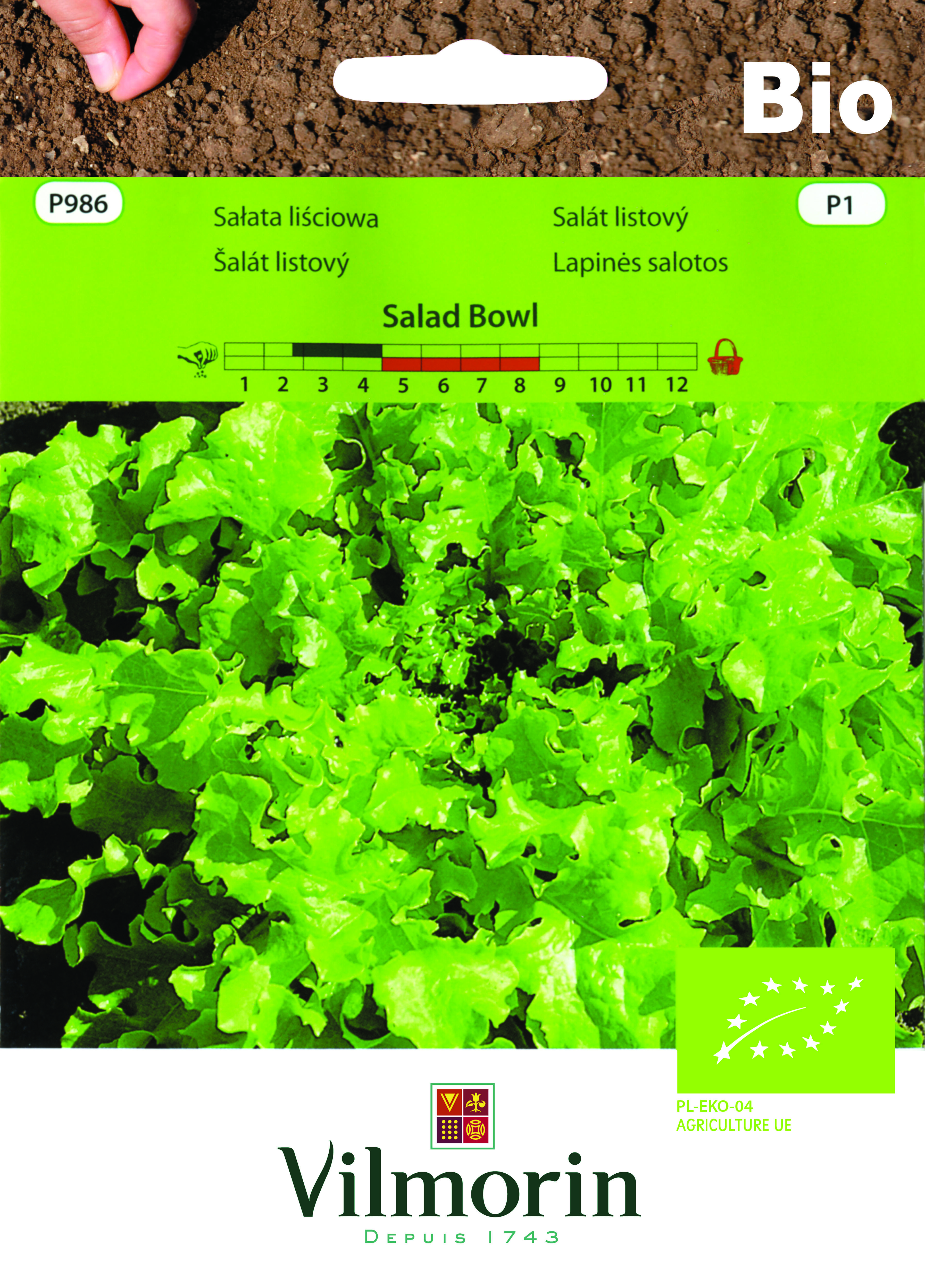 Sałata liściowa BIO Salad Bowl 0,5 g Vilmorin Garden