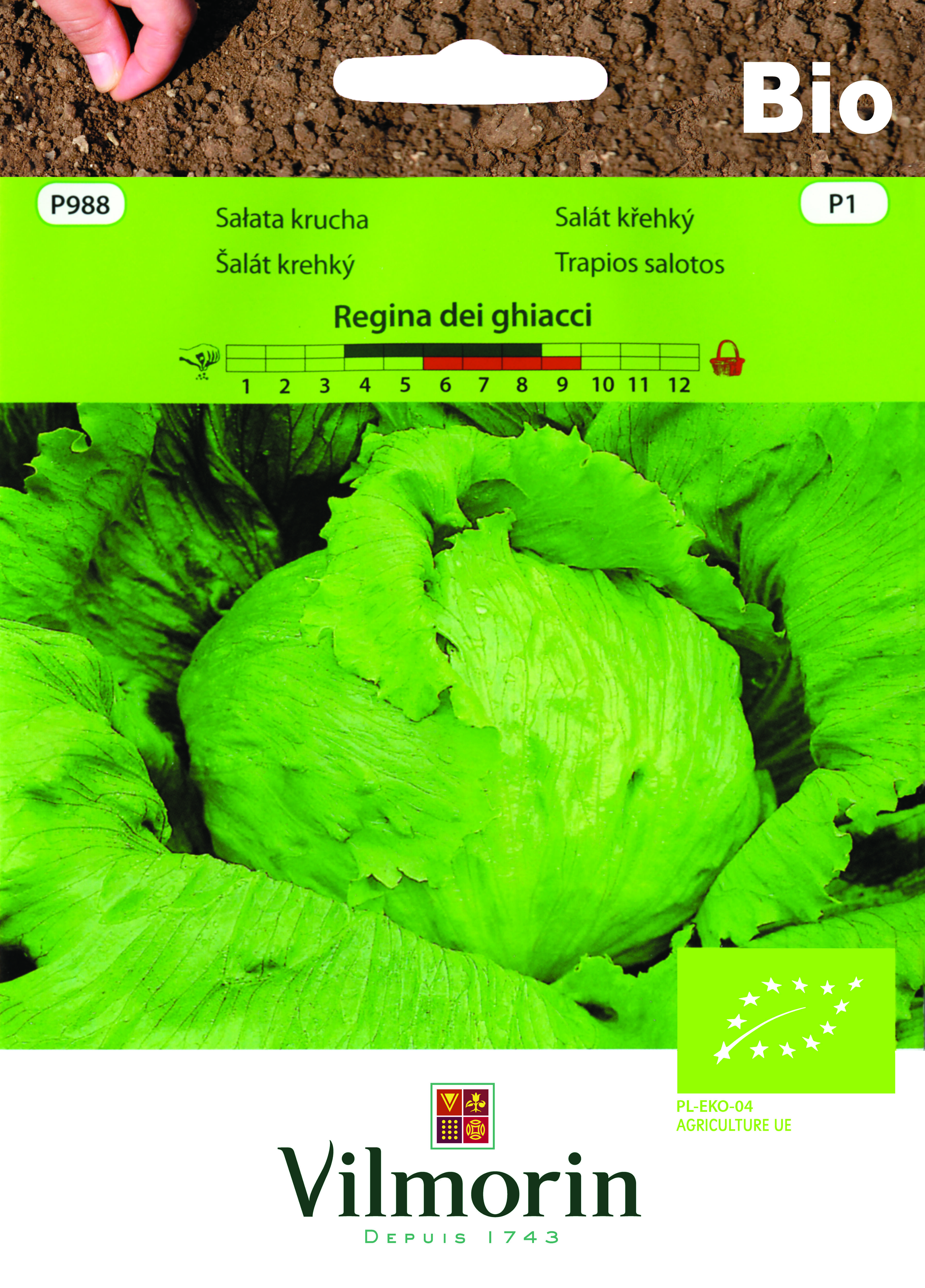 Sałata lodowa BIO Regina dei Ghiacci 0,5 g Vilmorin Garden