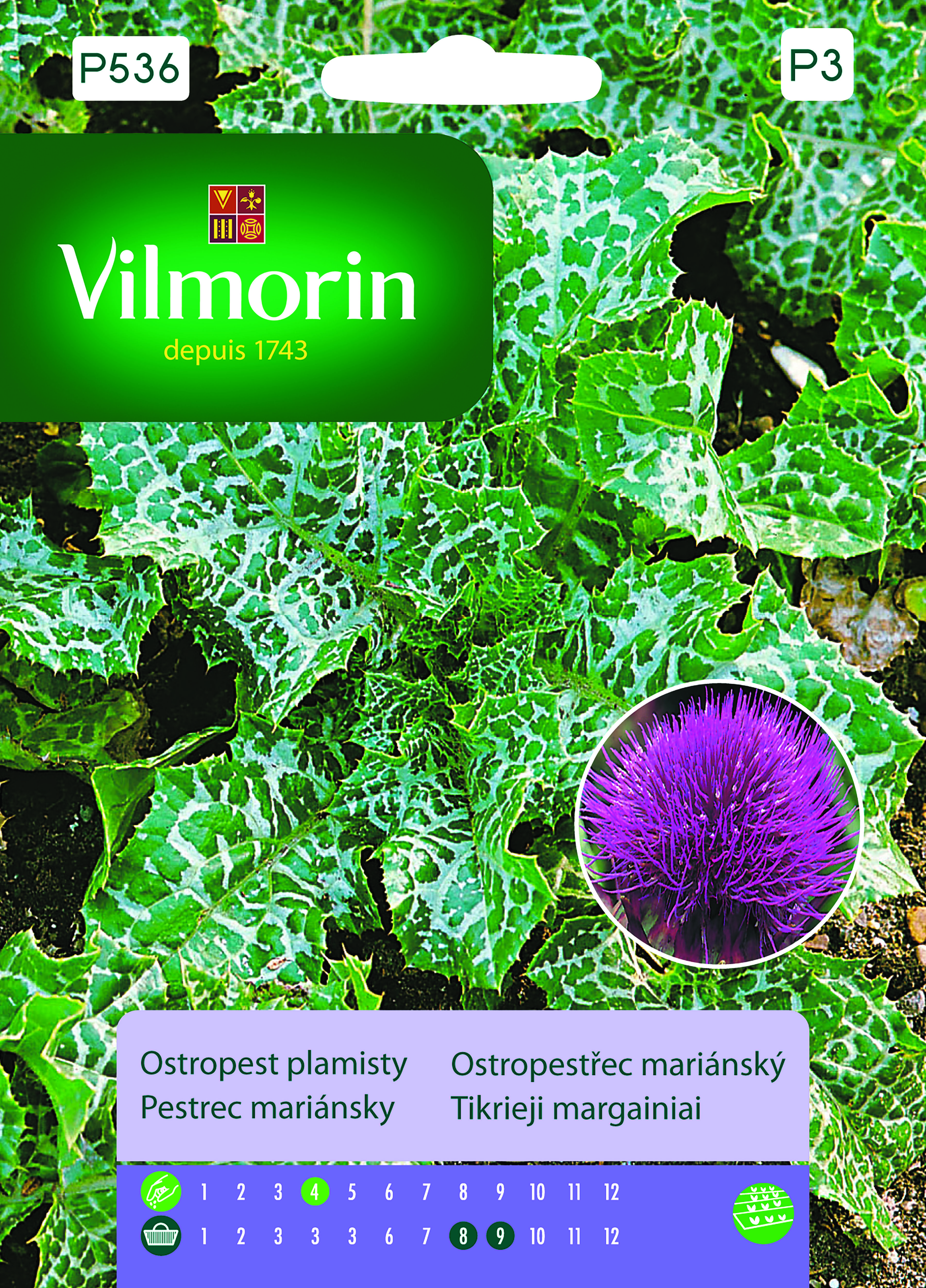 Ostropest plamisty 2 g Vilmorin Garden