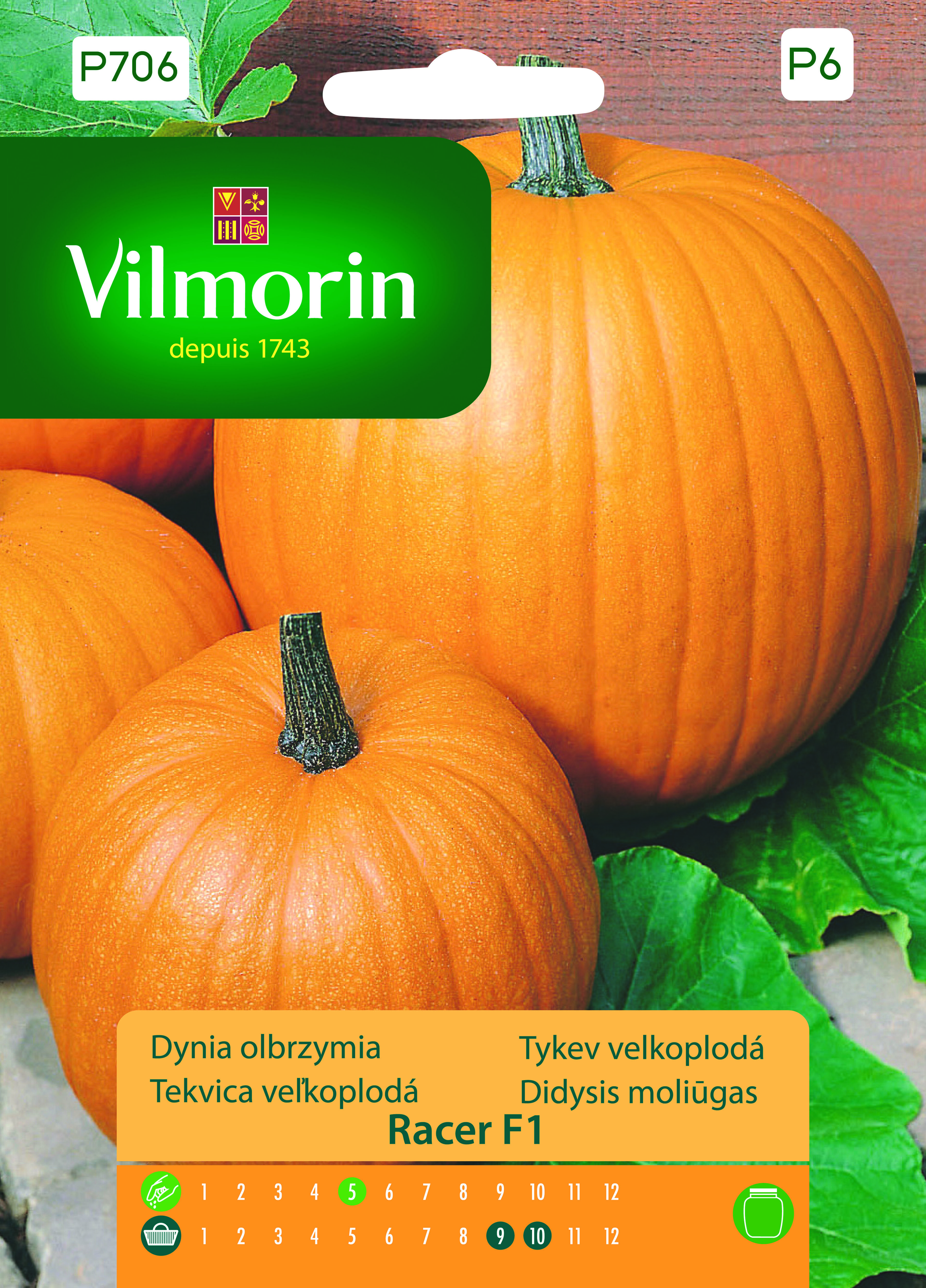 Dynia zwyczajna Racer F1 10 z Vilmorin Garden