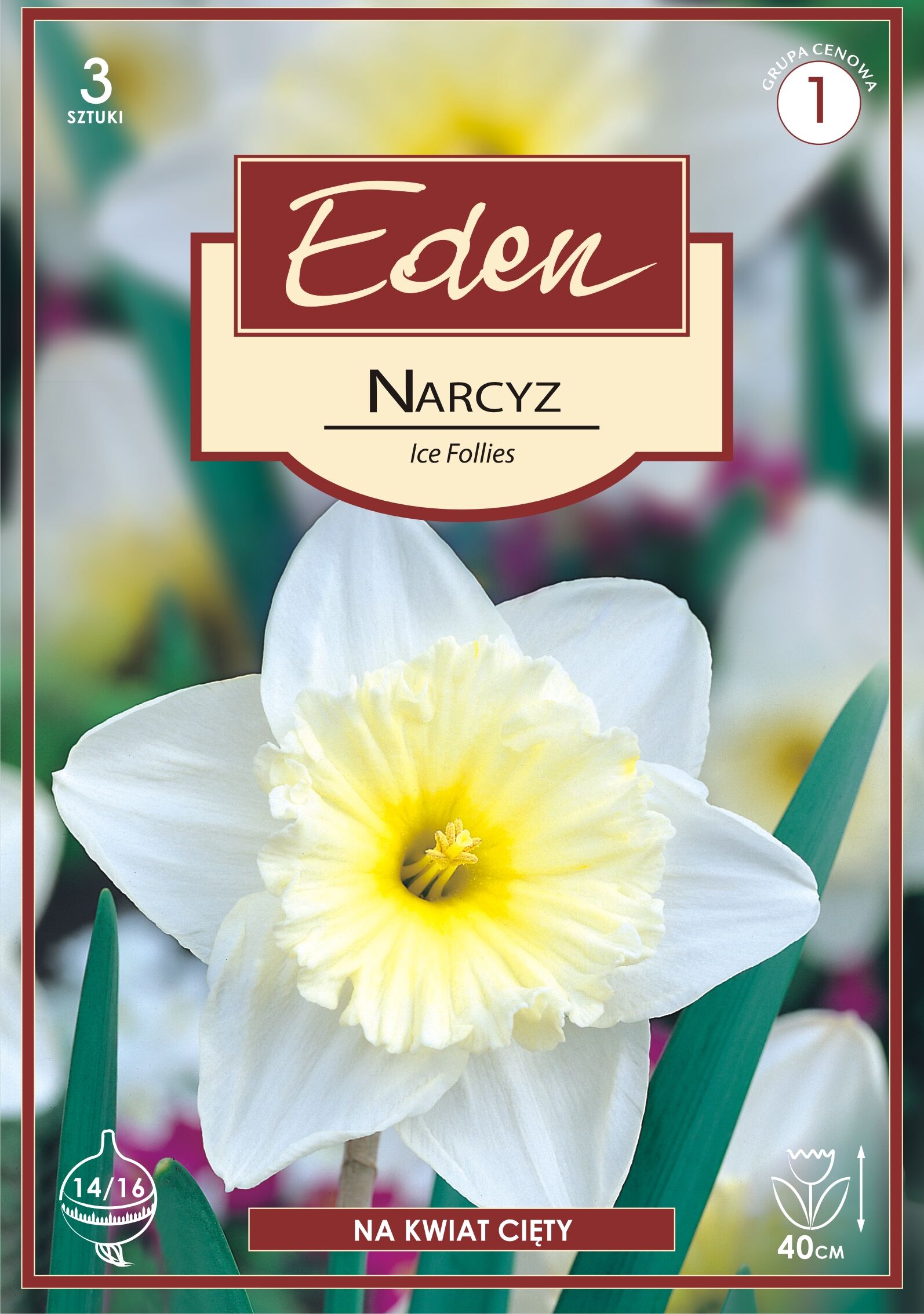 Narcyz wielkoprzykoronkowy Ice Follies 3 sztuki Eden