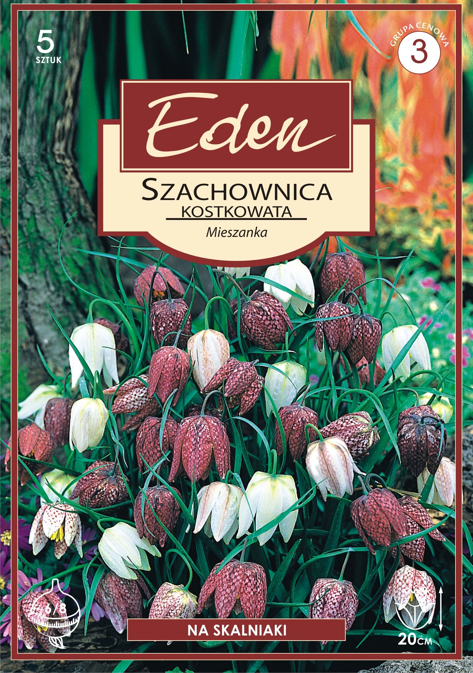 Szachownica Fritillaria Meleagris 5 sztuk Eden