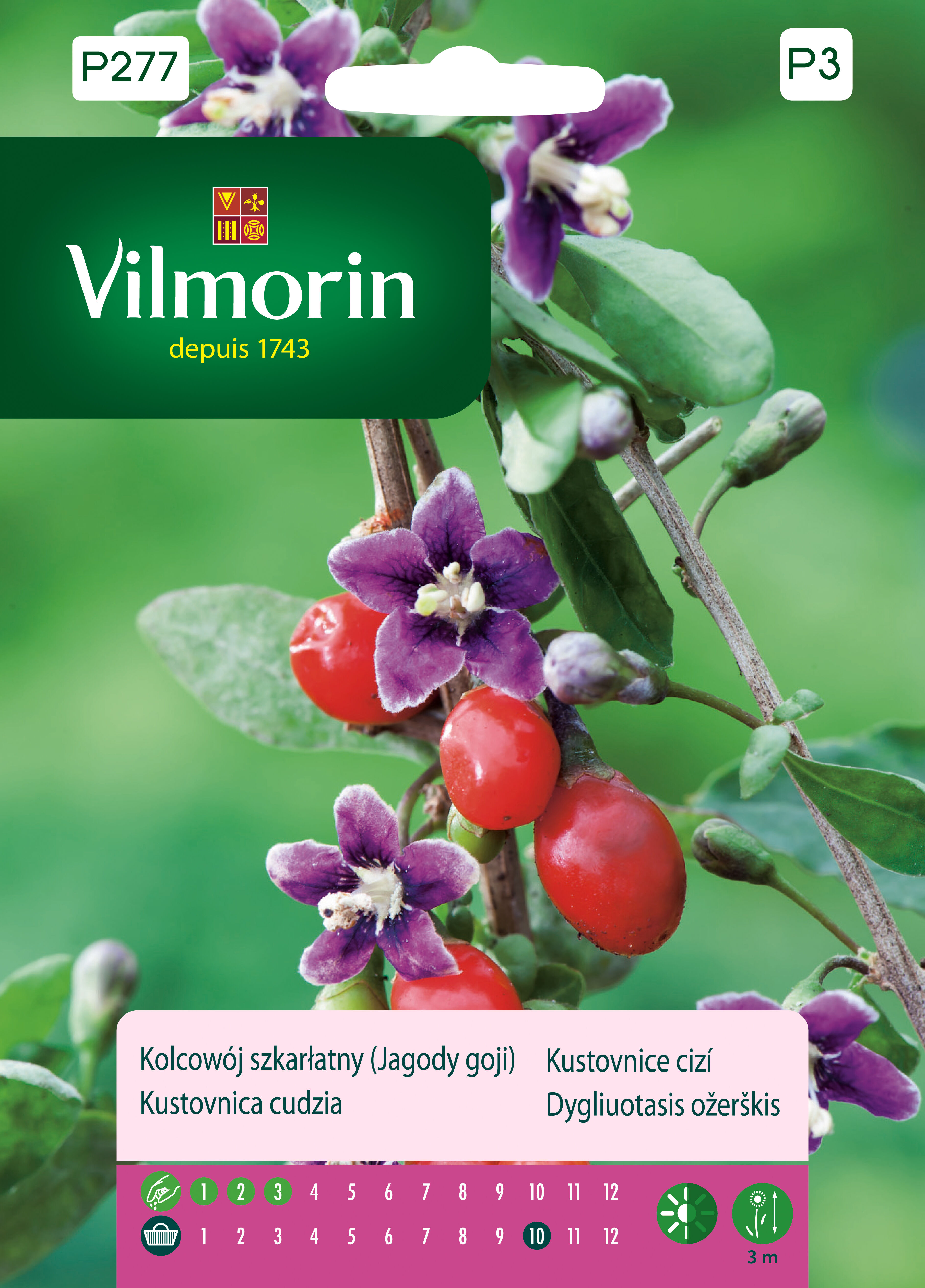 Kolcowój szkarłatny Jagody Goji 0,1 g Vilmorin Garden