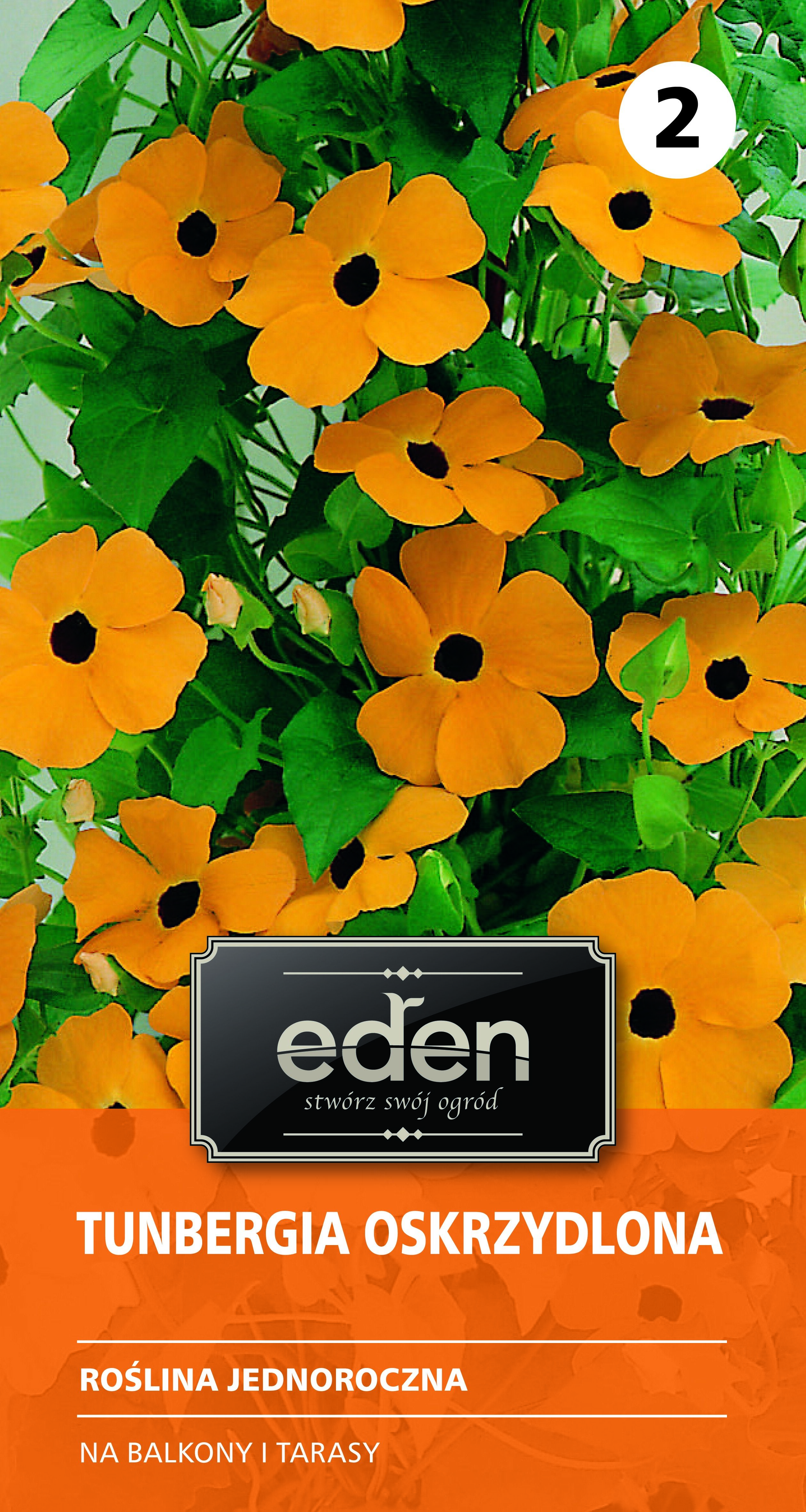 Tunbergia oskrzydlona mix 0,5 g Eden