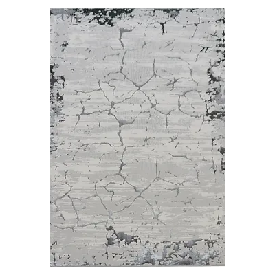 Dywan ALLIANZ 6308 grey 120 x 180 cm