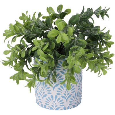 Sukulent w doniczce 23 cm mix