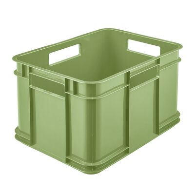 Pojemik Bruno Eco-Line Euro-Box M 35 x 27 x 22 cm 16 l zielony