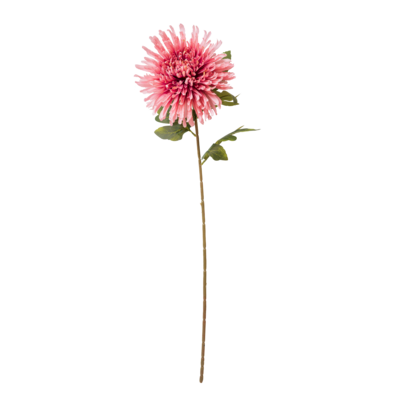 Chryzantema strzępiasta sztuczna 72 cm