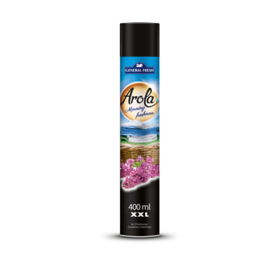 Odświeżacz powietrza w aerozolu 400 ml świeżość poranka