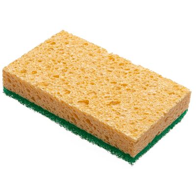 Zmywak kuchenny celulozowy Praktyczna 1 sztuk