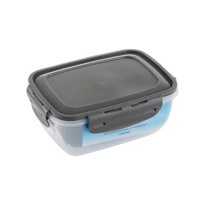 Pojemnik prostokątny z klipsami szary 400 ml