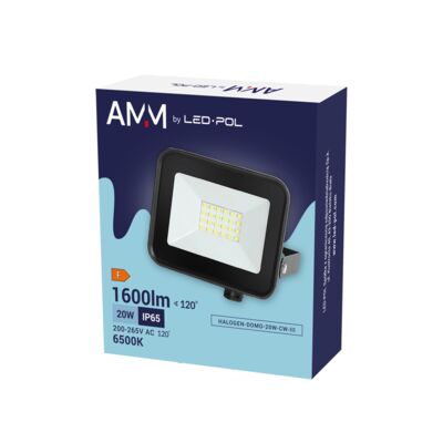 Naświetlacz halogen domo 20 W zimna biel CW III