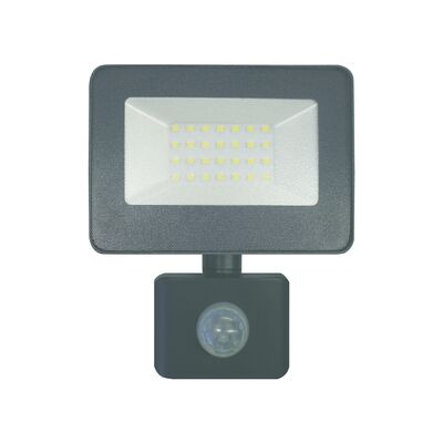 Naświetlacz ORO-DIODO-20W-G-PIR-EXT-CW