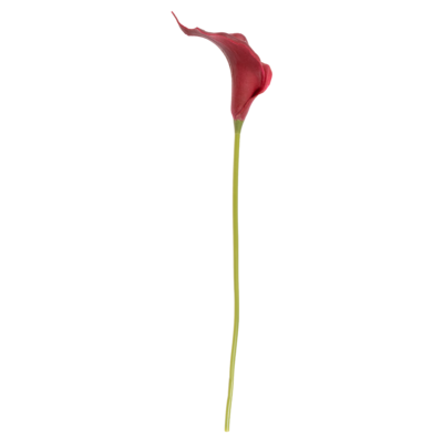 Kwiat kalii 37 cm