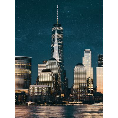 Obraz Canvas Silver 60 x 80 ST655 Dark city