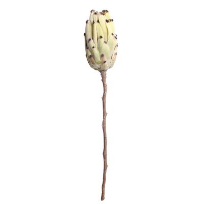 Sztuczna roślina gałązka PROTEA 52 cm kolor zielony