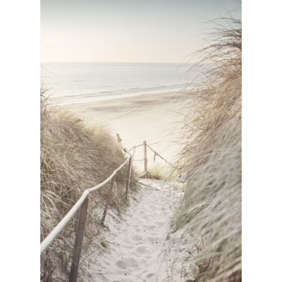 Obraz na płótnie 50 x 70 cm Dzika plaża