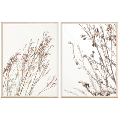 Obrazy w ramie 30 x 40 cm Trawy 2 sztuki