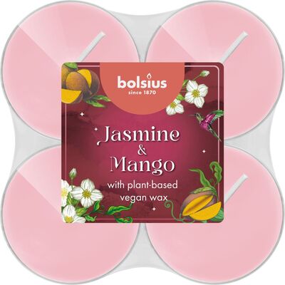 Podgrzewacze zapachowe Jasmine  Mango 8 sztuk