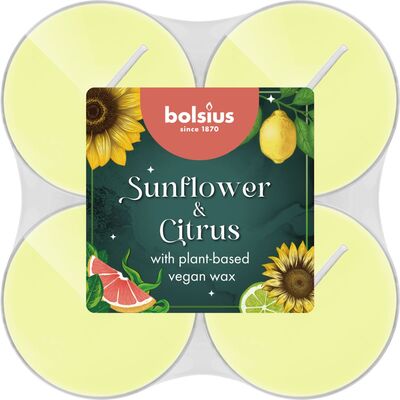 Podgrzewacze zapachowe Sunflower  Citrus 8 sztuk