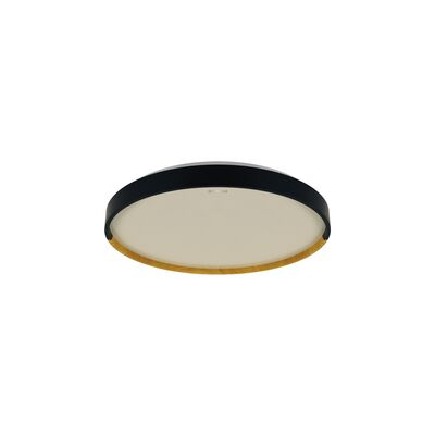 Plafoniera FARNA LED C 16 W nW strühm