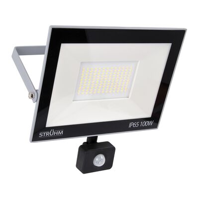 Naświetlacz z czujnikiem ruchu KROMA led S 100 w GREY CW STRÜHM