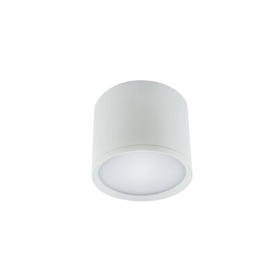 Oprawa sufitowa ROLen LED 3 W  white nW strühm