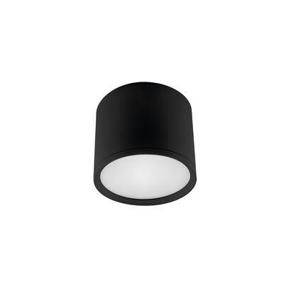 Oprawa sufitowa ROLen LED 3 W black nW strühm