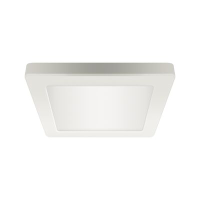 Oprawa sufitowa OLGA LED D 12 W  white cct strühm