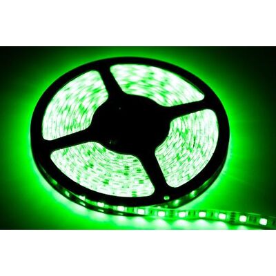 Taśma LED 2,5m 12 W zielony IP65