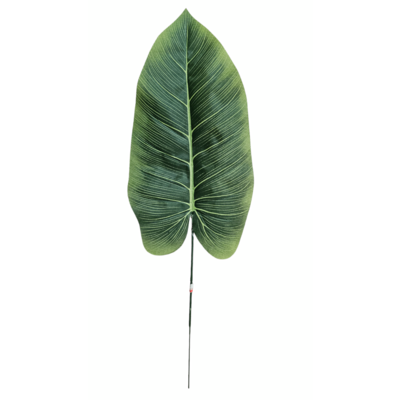Datura liść 44 cm zielony