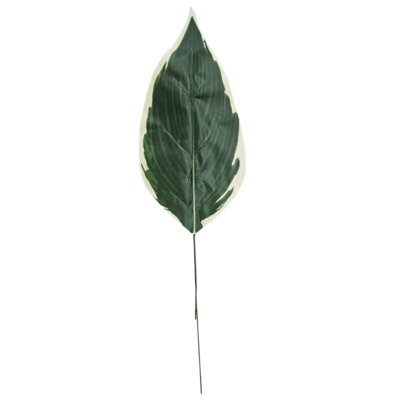 Liść ozdobny 44 cm