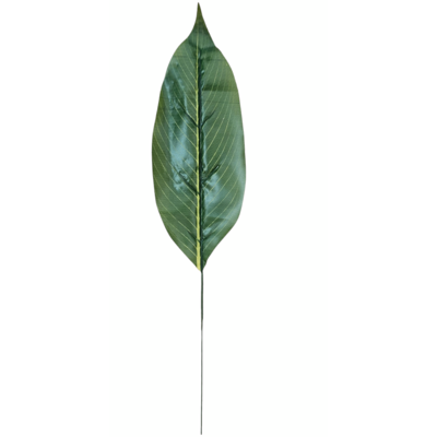 Liść difenbachii 48 cm