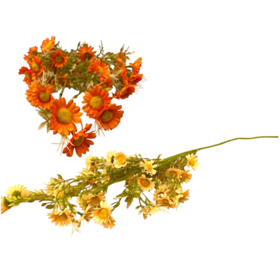 Gałązka złociszka 85 cm mix