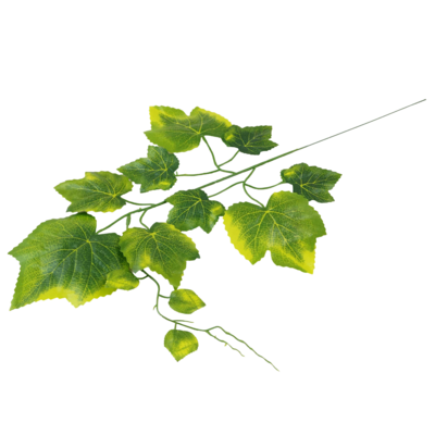 Gałązka liści winorośli 65 cm