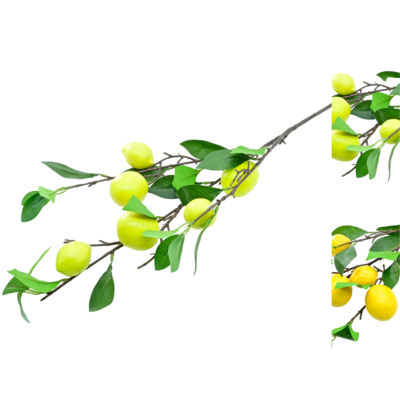 Gałązka cytryny 90 cm mix kolorów