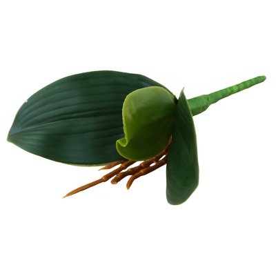 Liść storczyka 22 cm