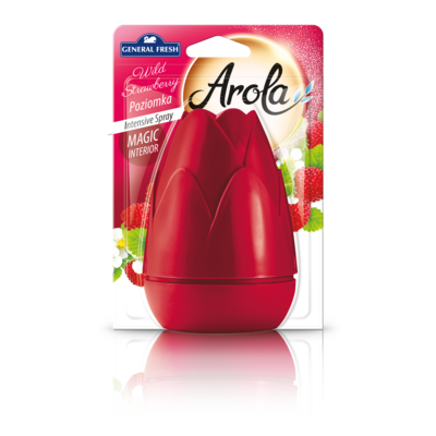 Odświeżacz powietrza w aerozolu „Magiczna Szyszka” 40 ml poziomka General Fresh