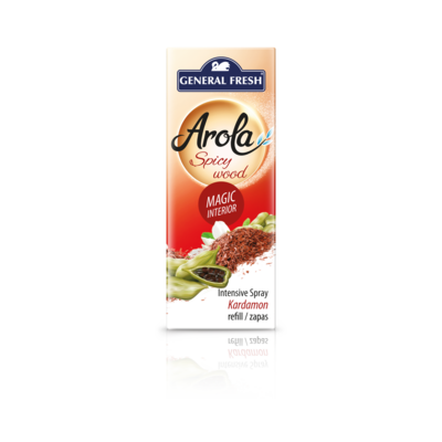 Odświeżacz powietrza w aerozolu „Magiczna Szyszka” 40 ml kardamon General Fresh