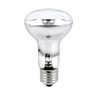 Żarówka specjalistyczna E27 60 w grzybek R63