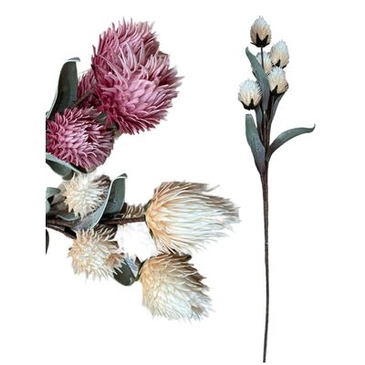 Gałązka Protea pianka 106 cm mix