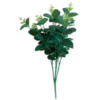 Bukiet liści eukaliptusa 48 cm