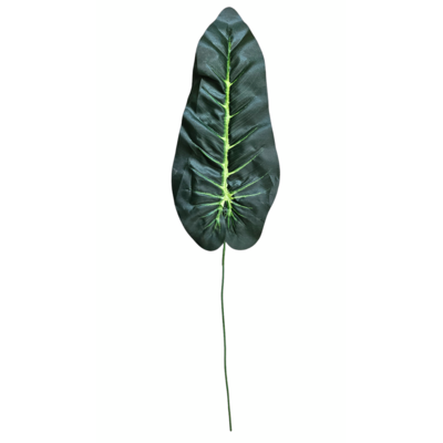 Liść datury 65 x 5 cm